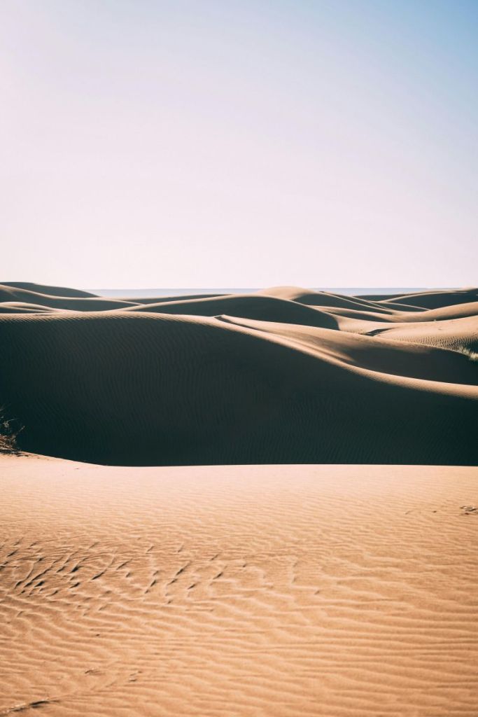 aniel Balavoine chanteur français engagé