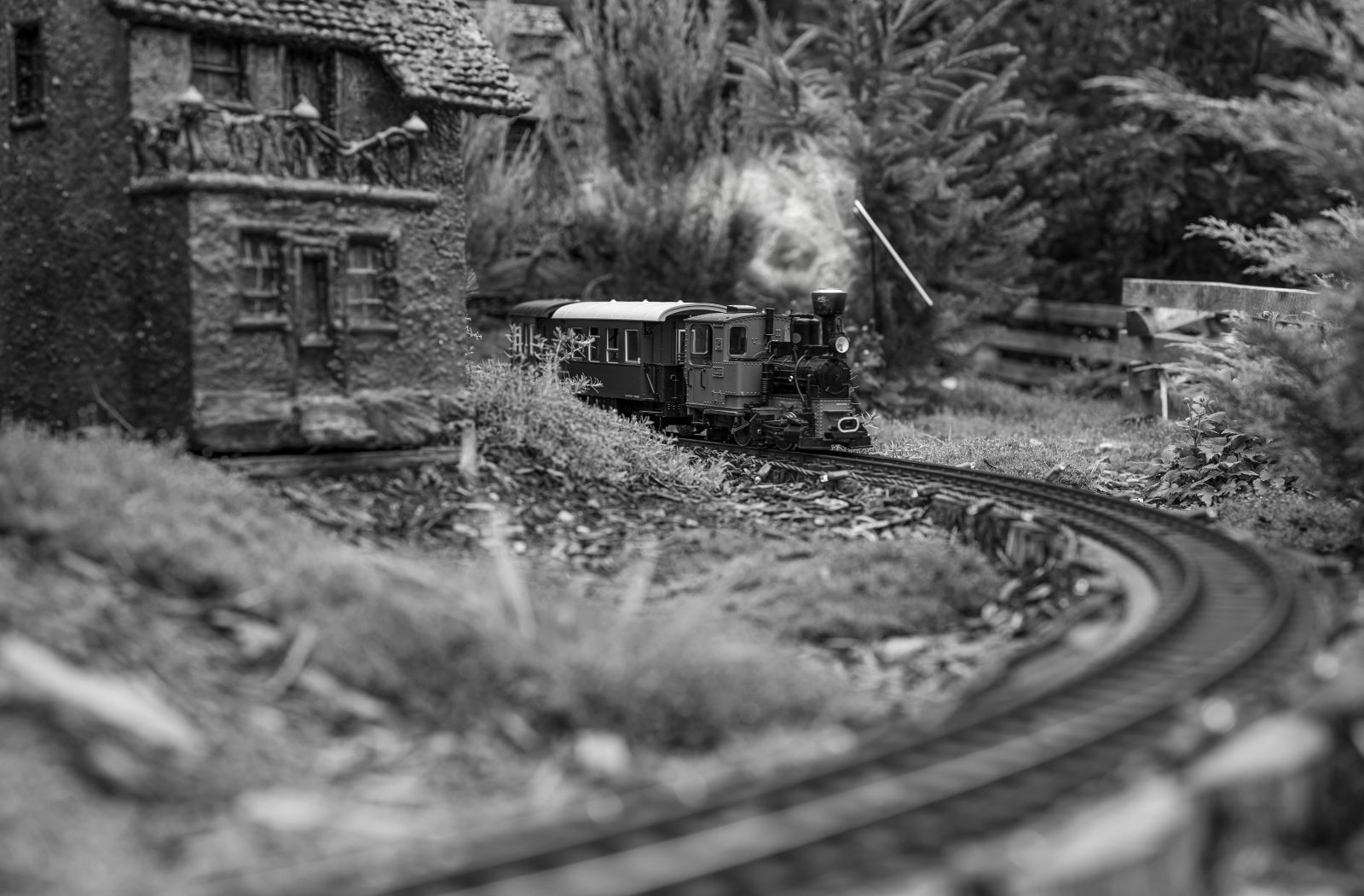 le petit train rita mitsouko